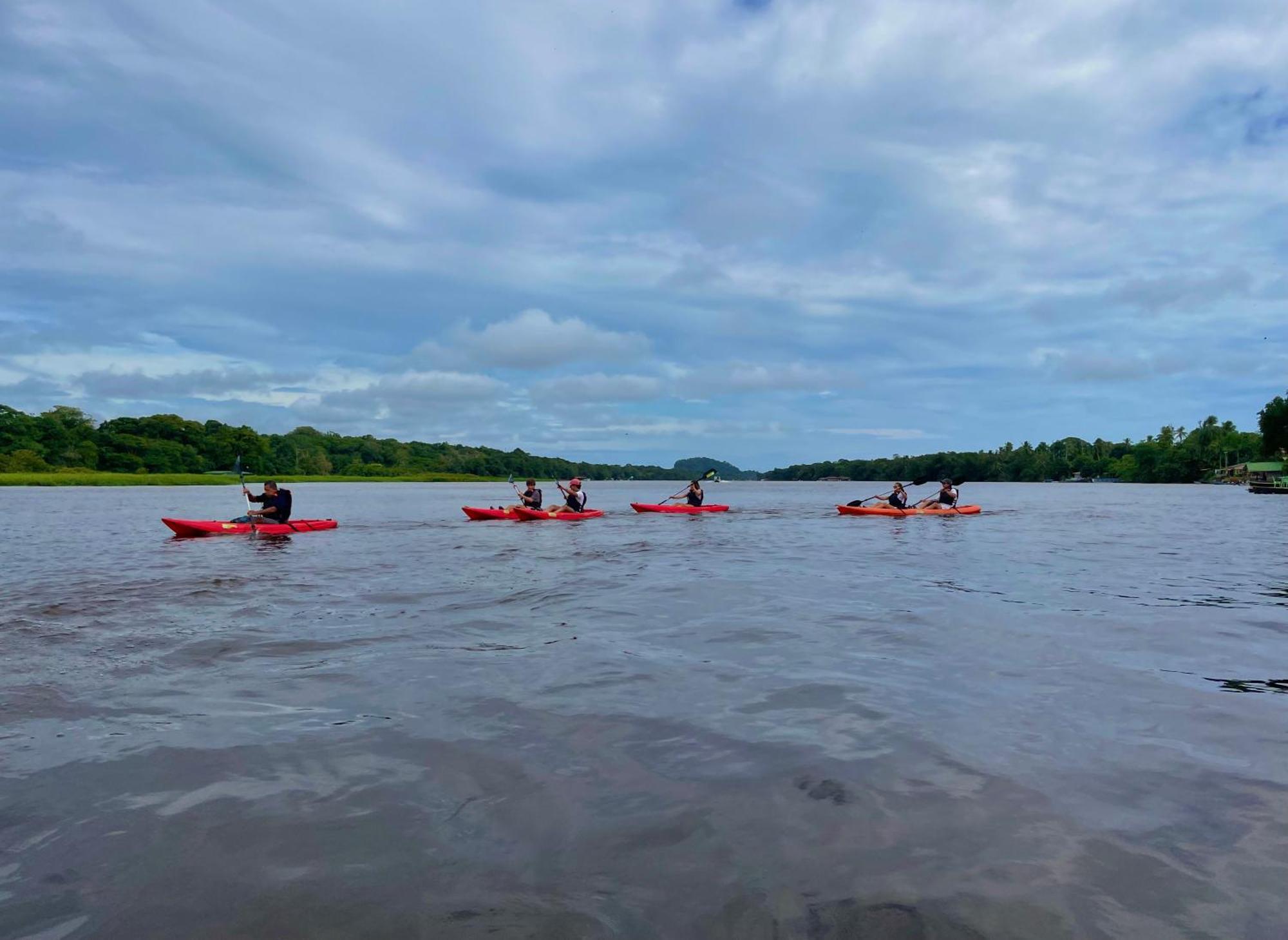 Carey Lodging Tortuguero Esterno foto