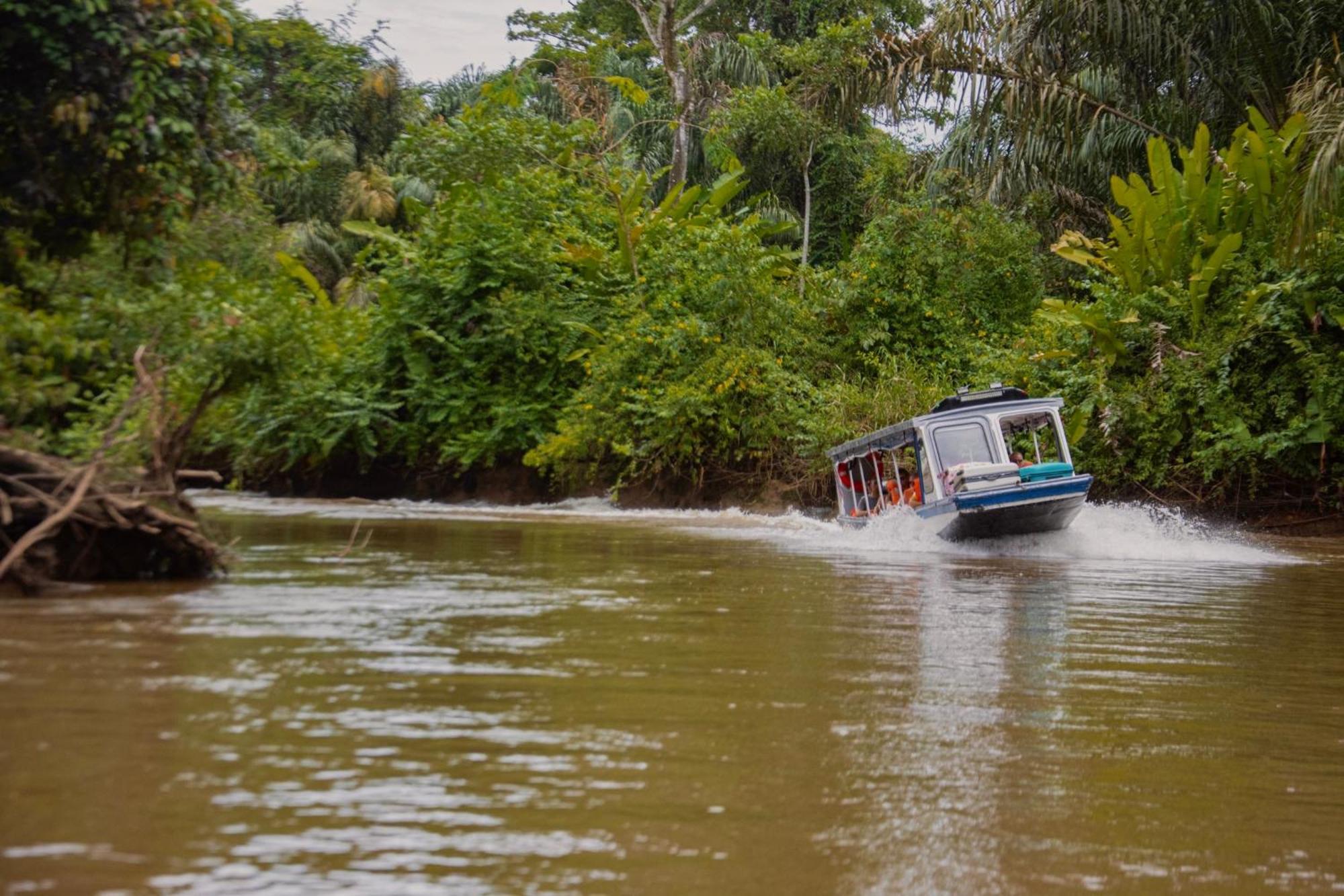 Carey Lodging Tortuguero Esterno foto