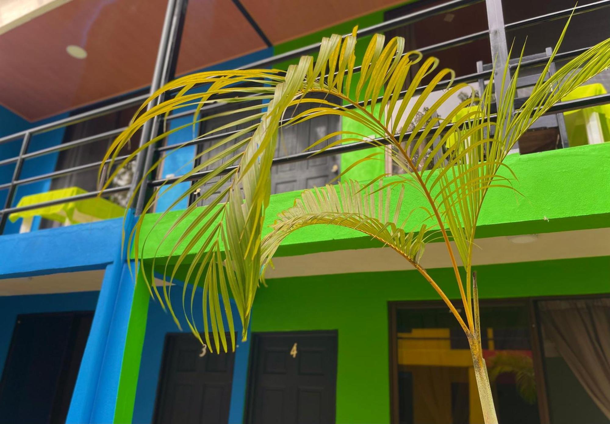 Carey Lodging Tortuguero Esterno foto