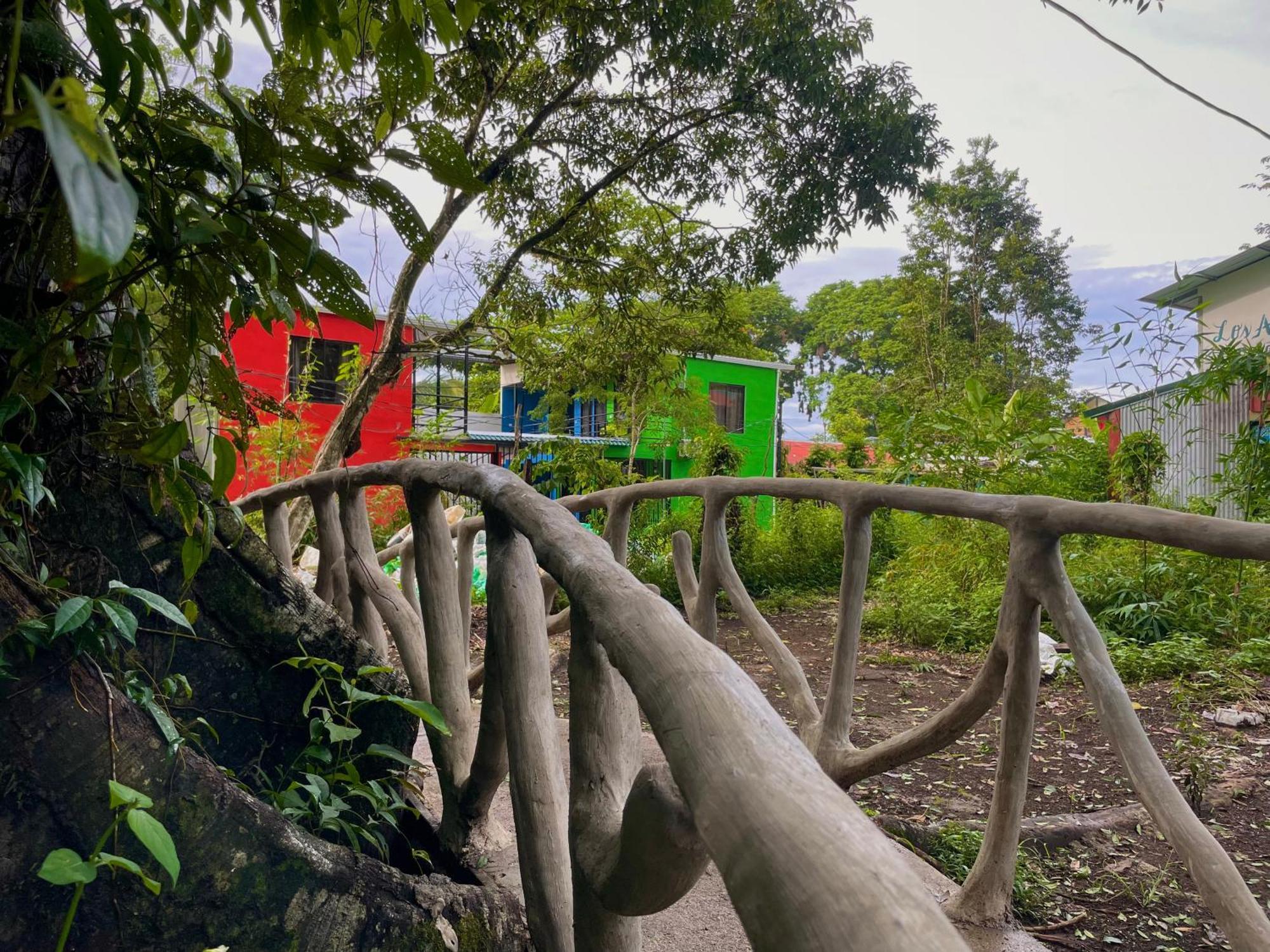 Carey Lodging Tortuguero Esterno foto