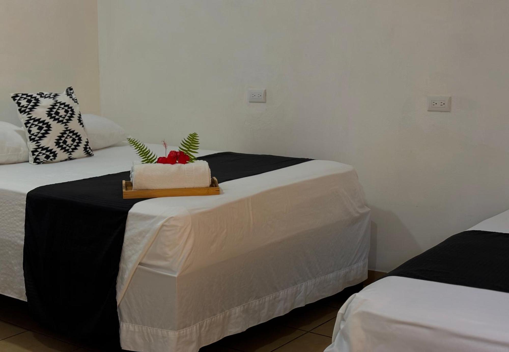 Carey Lodging Tortuguero Esterno foto