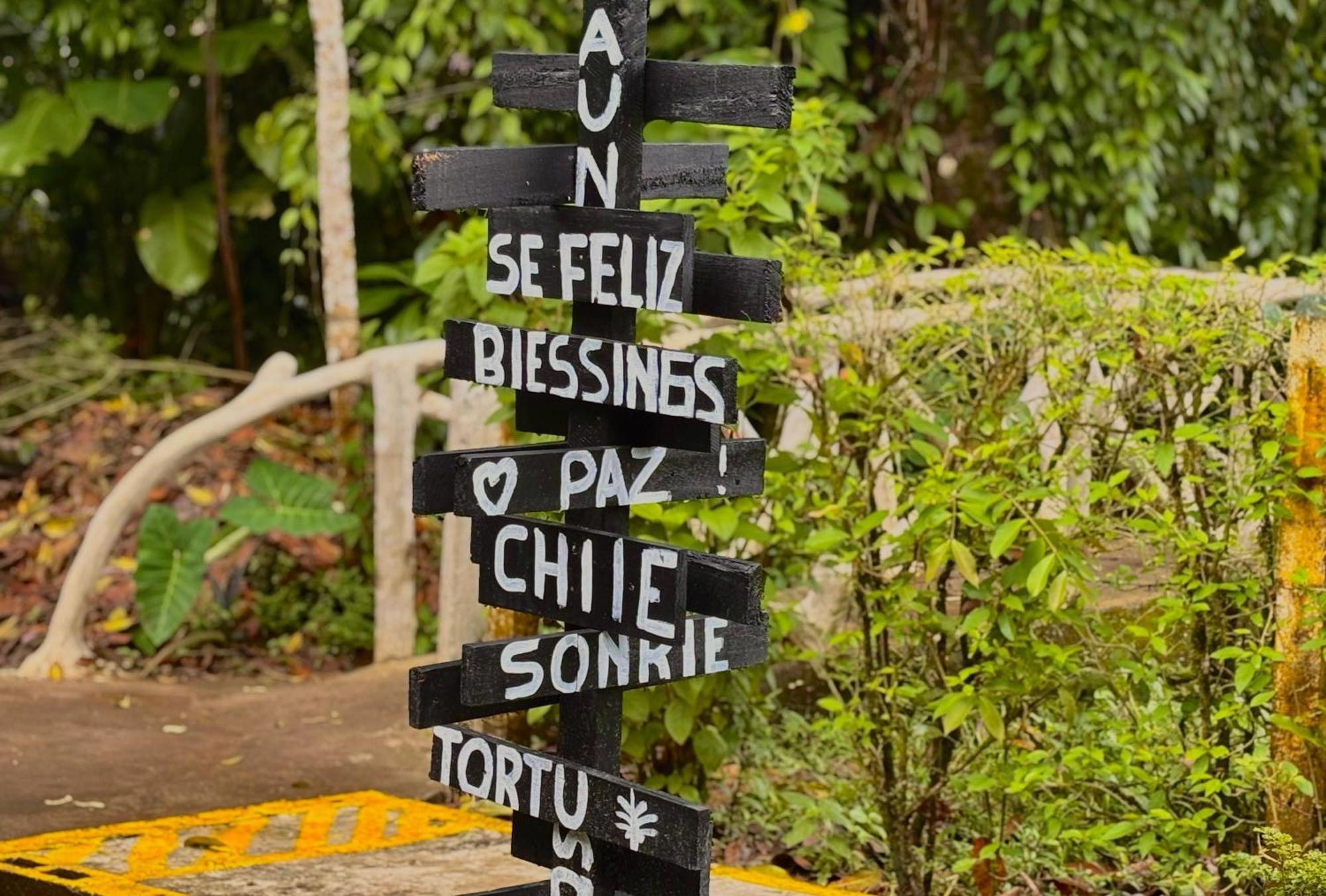 Carey Lodging Tortuguero Esterno foto